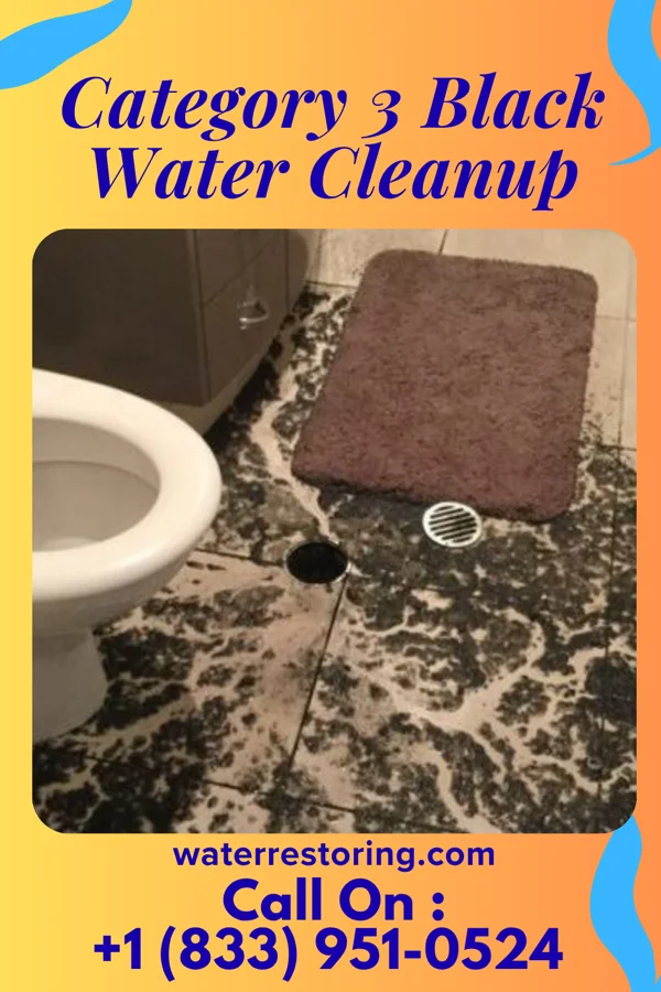 Category 3 Black Water Cleanup in Winona, KS