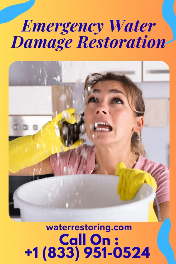 Emergency Water Damage Restoration in Winona, KS