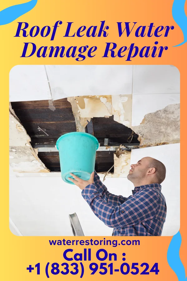Roof Leak Water Damage Repair in Winona, KS