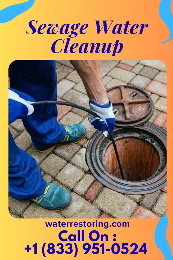 Sewage Water Cleanup in Winona, KS